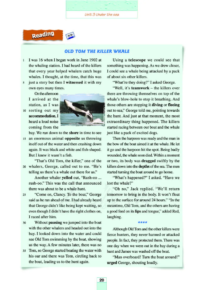 人教版高中英语选修7_4-教培资料-26年最新资料-同步更新_初中高中教资_03科三专项（进去保存报考的学科即可）_02科三专项（笔记真题思维导图教学设计版本二）