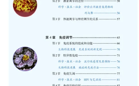 人教版生物选修1高清教材_4-教培资料-26年最新资料-同步更新_初中高中教资_03科三专项（进去保存报考的学科即可）_02科三专项（笔记真题思维导图教学设计版本二）