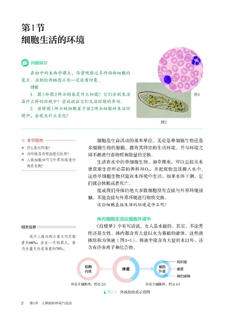 人教版生物选修1高清教材_4-教培资料-26年最新资料-同步更新_初中高中教资_03科三专项（进去保存报考的学科即可）_02科三专项（笔记真题思维导图教学设计版本二）