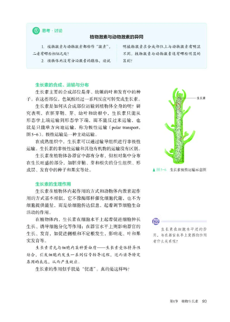 人教版生物选修1高清教材_4-教培资料-26年最新资料-同步更新_初中高中教资_03科三专项（进去保存报考的学科即可）_02科三专项（笔记真题思维导图教学设计版本二）