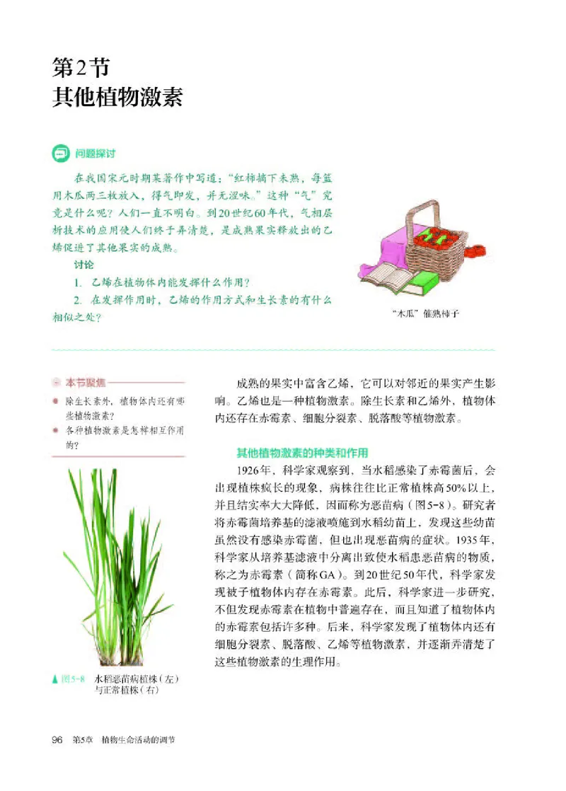 人教版生物选修1高清教材_4-教培资料-26年最新资料-同步更新_初中高中教资_03科三专项（进去保存报考的学科即可）_02科三专项（笔记真题思维导图教学设计版本二）