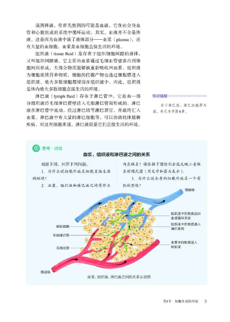 人教版生物选修1高清教材_4-教培资料-26年最新资料-同步更新_初中高中教资_03科三专项（进去保存报考的学科即可）_02科三专项（笔记真题思维导图教学设计版本二）