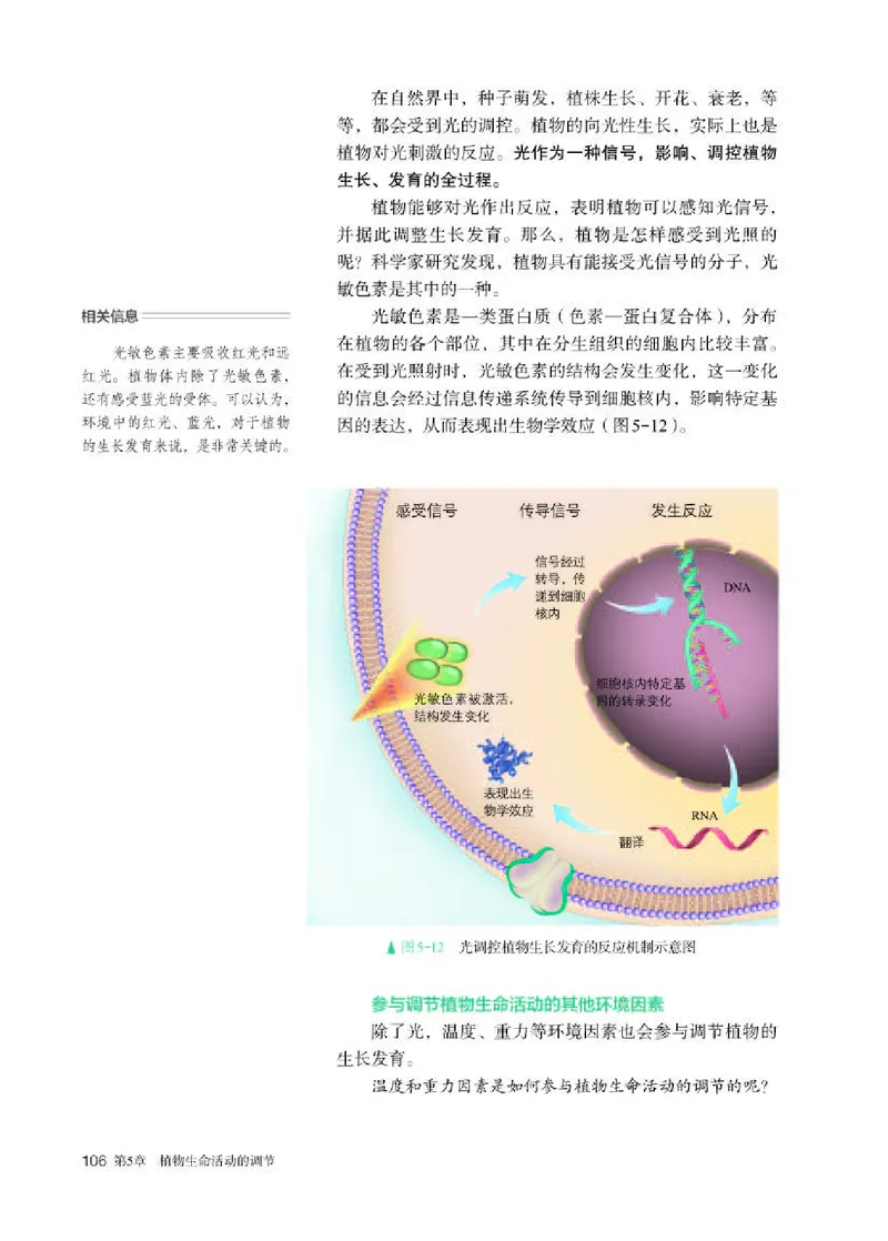人教版生物选修1高清教材_4-教培资料-26年最新资料-同步更新_初中高中教资_03科三专项（进去保存报考的学科即可）_02科三专项（笔记真题思维导图教学设计版本二）