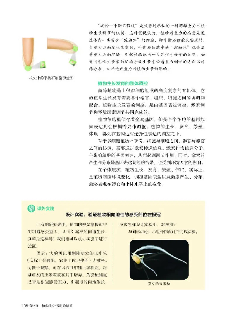 人教版生物选修1高清教材_4-教培资料-26年最新资料-同步更新_初中高中教资_03科三专项（进去保存报考的学科即可）_02科三专项（笔记真题思维导图教学设计版本二）