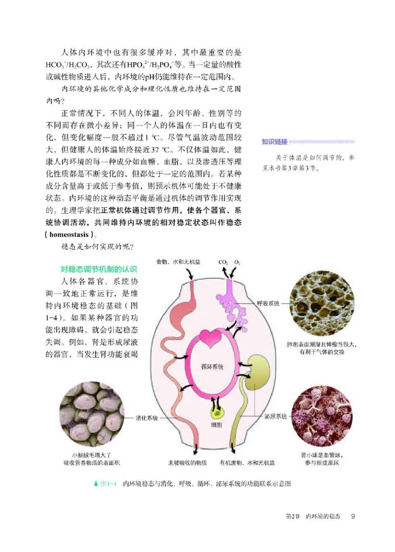 人教版生物选修1高清教材_4-教培资料-26年最新资料-同步更新_初中高中教资_03科三专项（进去保存报考的学科即可）_02科三专项（笔记真题思维导图教学设计版本二）