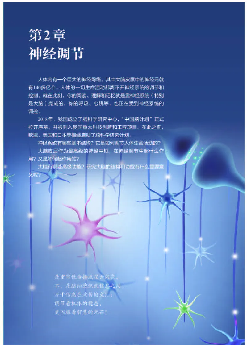 人教版生物选修1高清教材_4-教培资料-26年最新资料-同步更新_初中高中教资_03科三专项（进去保存报考的学科即可）_02科三专项（笔记真题思维导图教学设计版本二）