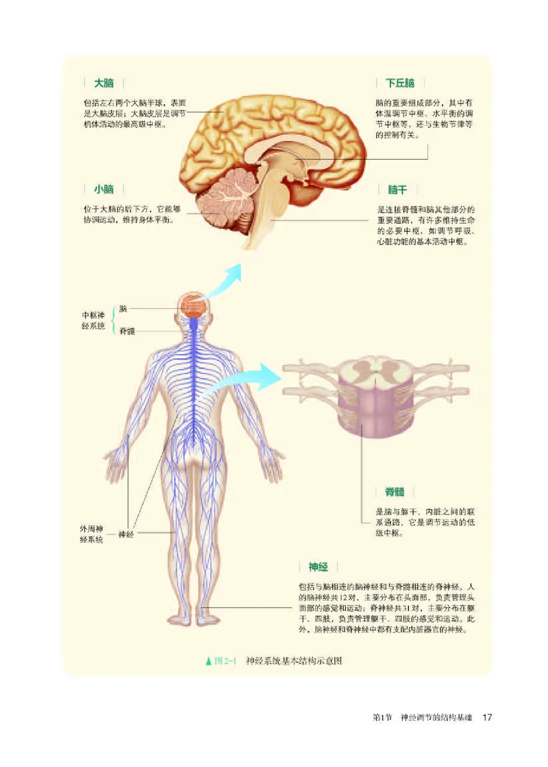 人教版生物选修1高清教材_4-教培资料-26年最新资料-同步更新_初中高中教资_03科三专项（进去保存报考的学科即可）_02科三专项（笔记真题思维导图教学设计版本二）