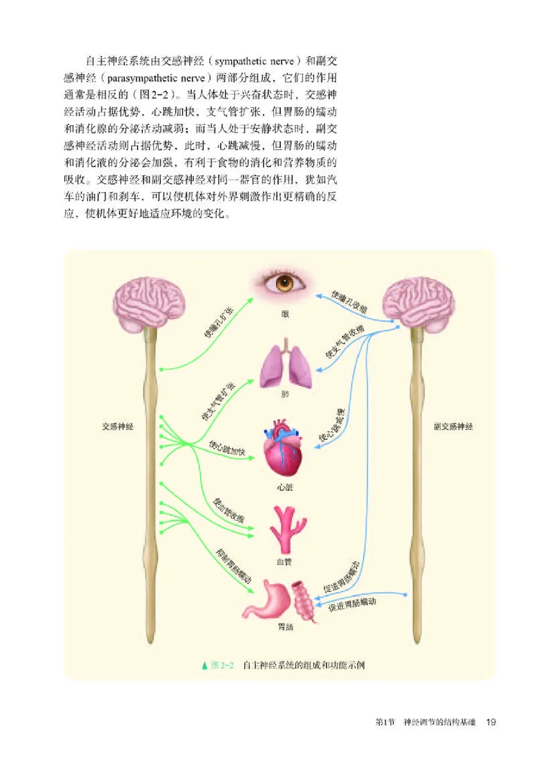 人教版生物选修1高清教材_4-教培资料-26年最新资料-同步更新_初中高中教资_03科三专项（进去保存报考的学科即可）_02科三专项（笔记真题思维导图教学设计版本二）