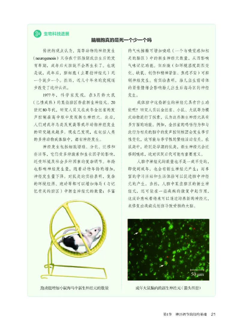 人教版生物选修1高清教材_4-教培资料-26年最新资料-同步更新_初中高中教资_03科三专项（进去保存报考的学科即可）_02科三专项（笔记真题思维导图教学设计版本二）