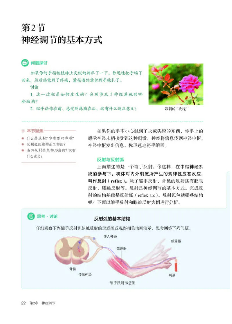 人教版生物选修1高清教材_4-教培资料-26年最新资料-同步更新_初中高中教资_03科三专项（进去保存报考的学科即可）_02科三专项（笔记真题思维导图教学设计版本二）