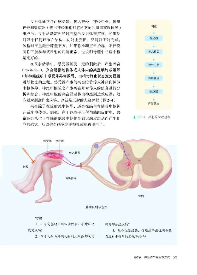 人教版生物选修1高清教材_4-教培资料-26年最新资料-同步更新_初中高中教资_03科三专项（进去保存报考的学科即可）_02科三专项（笔记真题思维导图教学设计版本二）