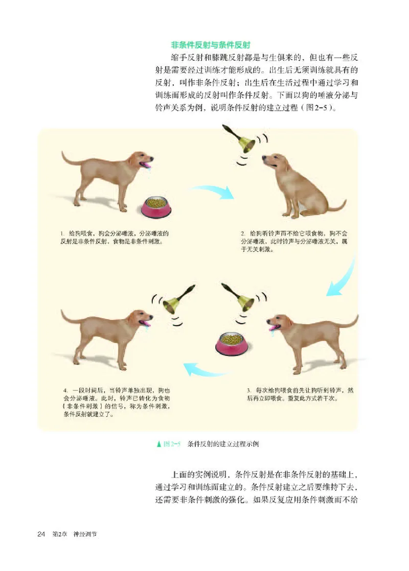 人教版生物选修1高清教材_4-教培资料-26年最新资料-同步更新_初中高中教资_03科三专项（进去保存报考的学科即可）_02科三专项（笔记真题思维导图教学设计版本二）