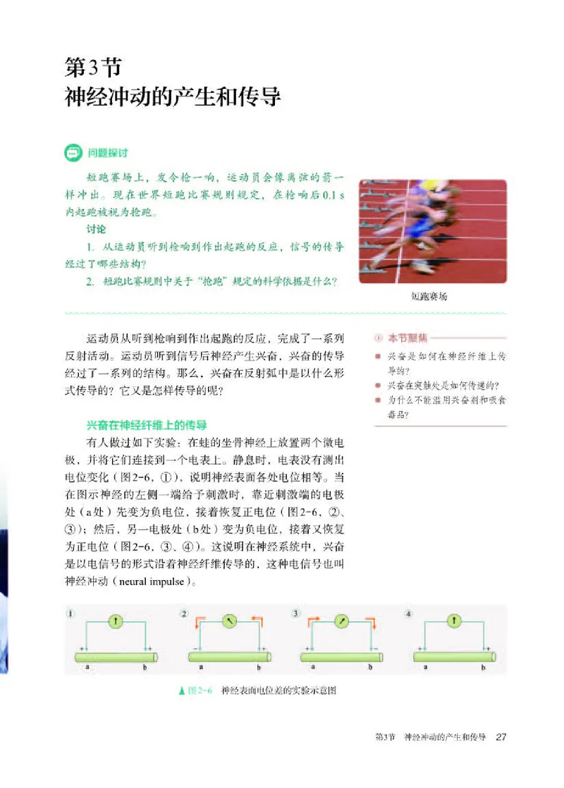 人教版生物选修1高清教材_4-教培资料-26年最新资料-同步更新_初中高中教资_03科三专项（进去保存报考的学科即可）_02科三专项（笔记真题思维导图教学设计版本二）