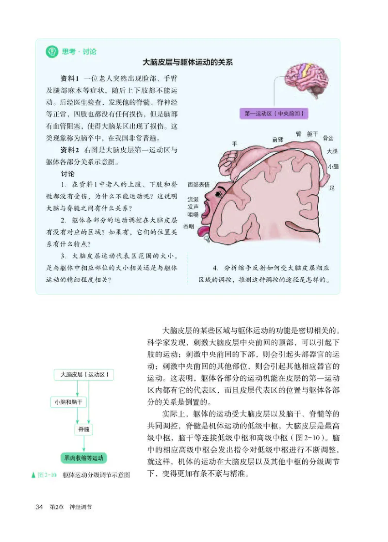人教版生物选修1高清教材_4-教培资料-26年最新资料-同步更新_初中高中教资_03科三专项（进去保存报考的学科即可）_02科三专项（笔记真题思维导图教学设计版本二）