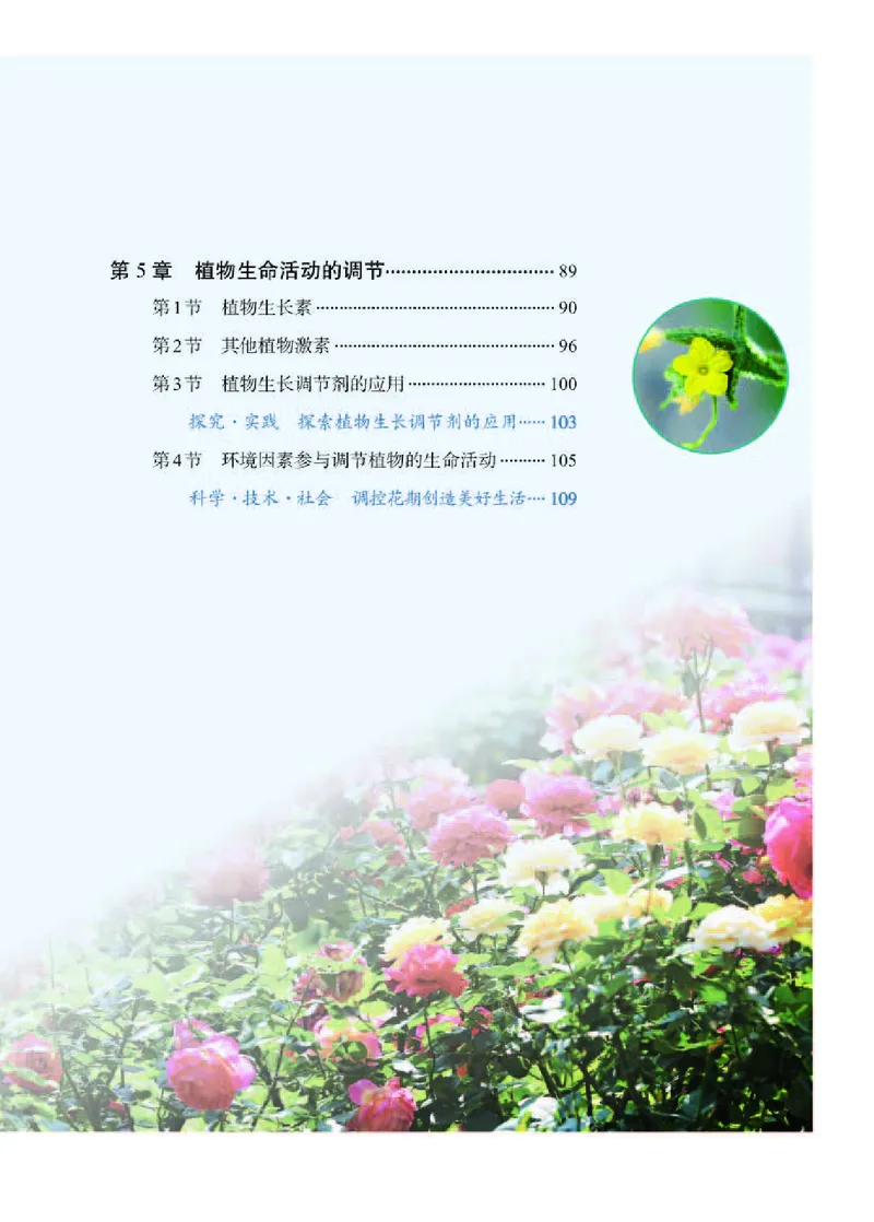 人教版生物选修1高清教材_4-教培资料-26年最新资料-同步更新_初中高中教资_03科三专项（进去保存报考的学科即可）_02科三专项（笔记真题思维导图教学设计版本二）