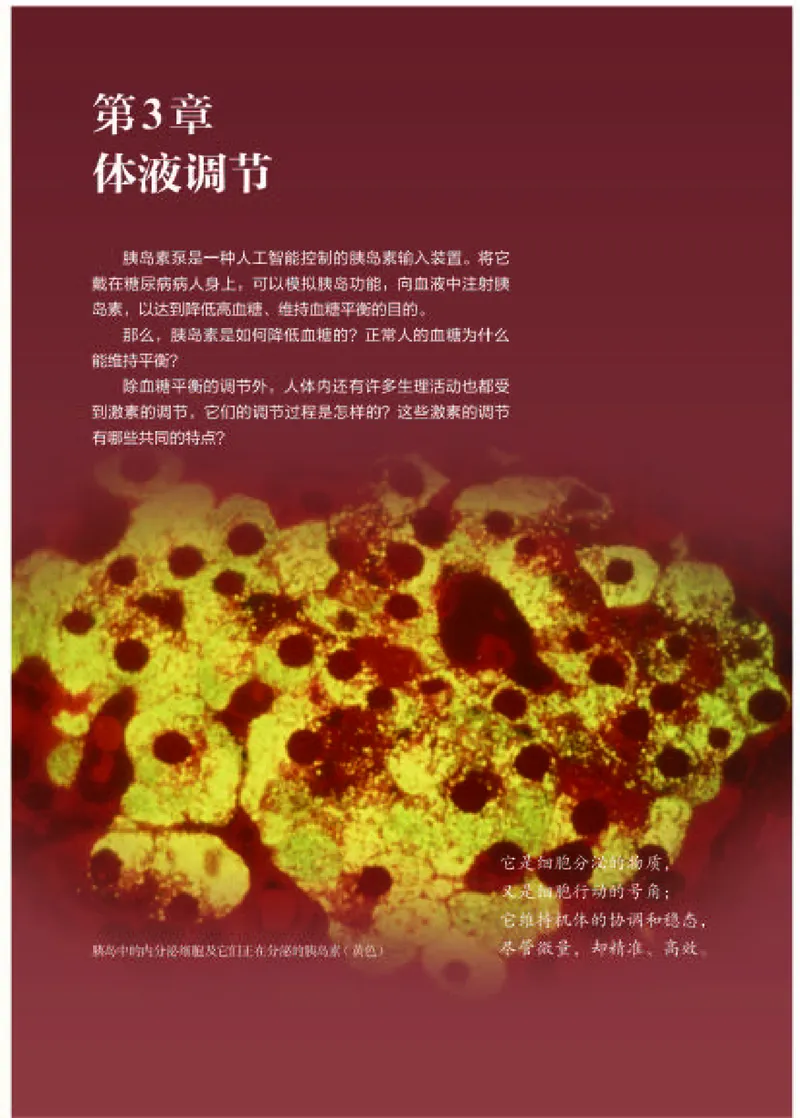 人教版生物选修1高清教材_4-教培资料-26年最新资料-同步更新_初中高中教资_03科三专项（进去保存报考的学科即可）_02科三专项（笔记真题思维导图教学设计版本二）