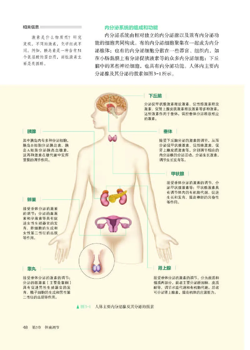 人教版生物选修1高清教材_4-教培资料-26年最新资料-同步更新_初中高中教资_03科三专项（进去保存报考的学科即可）_02科三专项（笔记真题思维导图教学设计版本二）