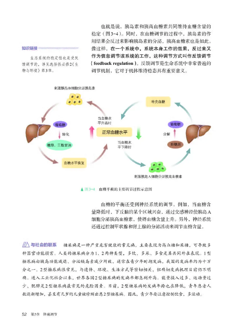 人教版生物选修1高清教材_4-教培资料-26年最新资料-同步更新_初中高中教资_03科三专项（进去保存报考的学科即可）_02科三专项（笔记真题思维导图教学设计版本二）