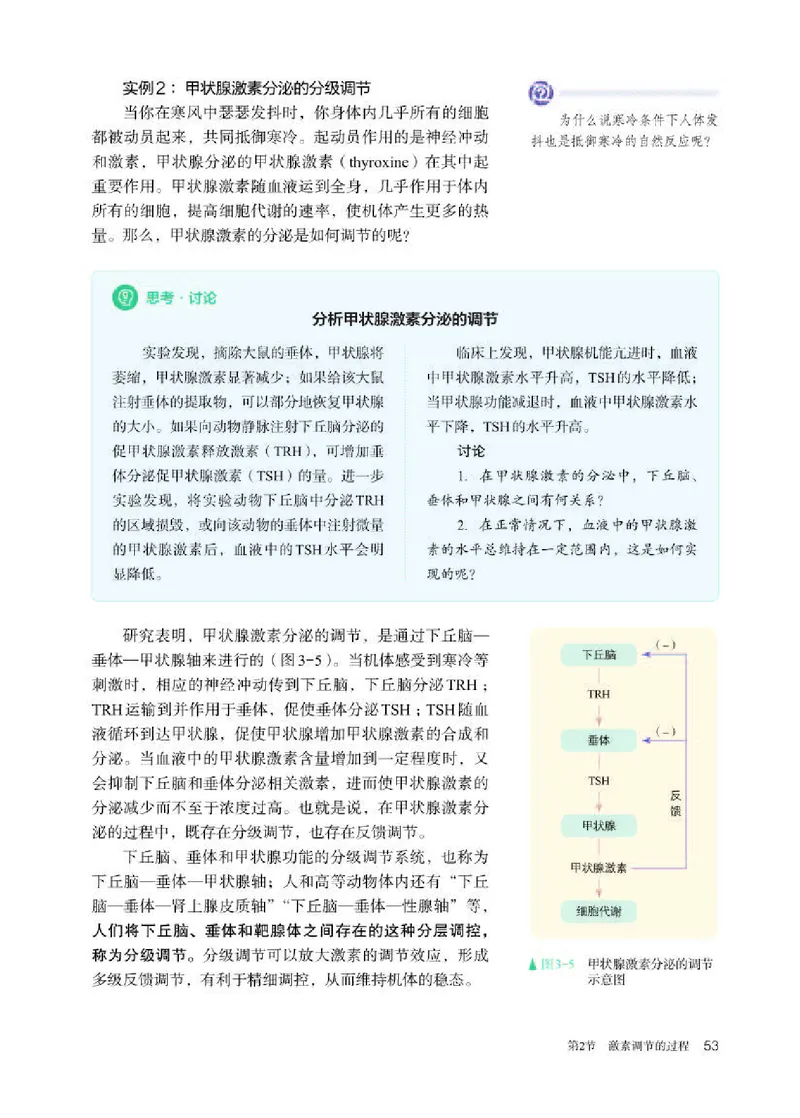 人教版生物选修1高清教材_4-教培资料-26年最新资料-同步更新_初中高中教资_03科三专项（进去保存报考的学科即可）_02科三专项（笔记真题思维导图教学设计版本二）