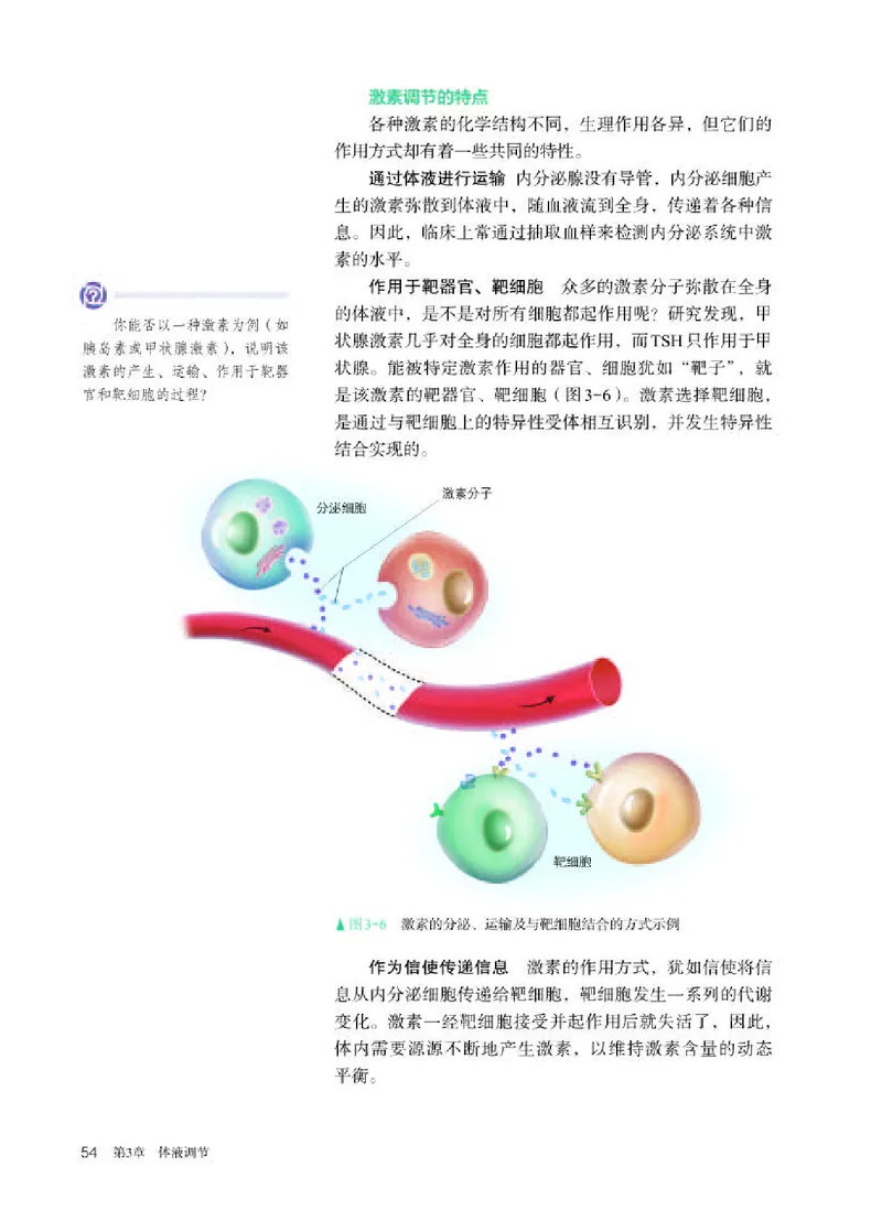人教版生物选修1高清教材_4-教培资料-26年最新资料-同步更新_初中高中教资_03科三专项（进去保存报考的学科即可）_02科三专项（笔记真题思维导图教学设计版本二）