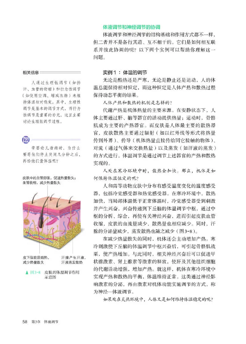 人教版生物选修1高清教材_4-教培资料-26年最新资料-同步更新_初中高中教资_03科三专项（进去保存报考的学科即可）_02科三专项（笔记真题思维导图教学设计版本二）