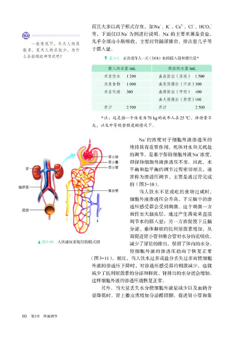 人教版生物选修1高清教材_4-教培资料-26年最新资料-同步更新_初中高中教资_03科三专项（进去保存报考的学科即可）_02科三专项（笔记真题思维导图教学设计版本二）