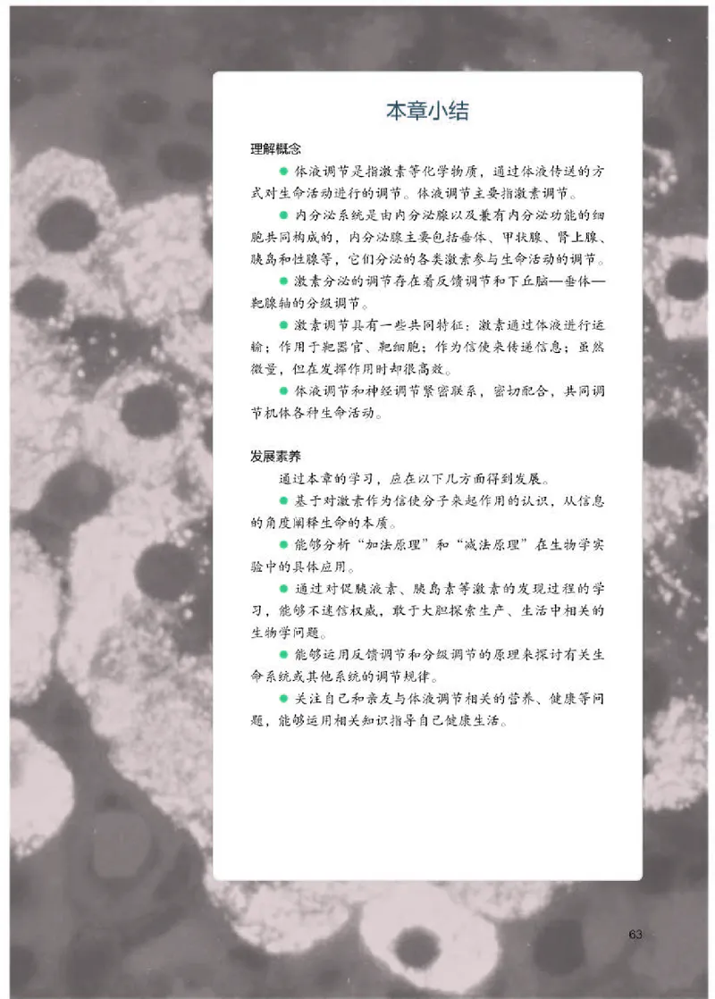 人教版生物选修1高清教材_4-教培资料-26年最新资料-同步更新_初中高中教资_03科三专项（进去保存报考的学科即可）_02科三专项（笔记真题思维导图教学设计版本二）