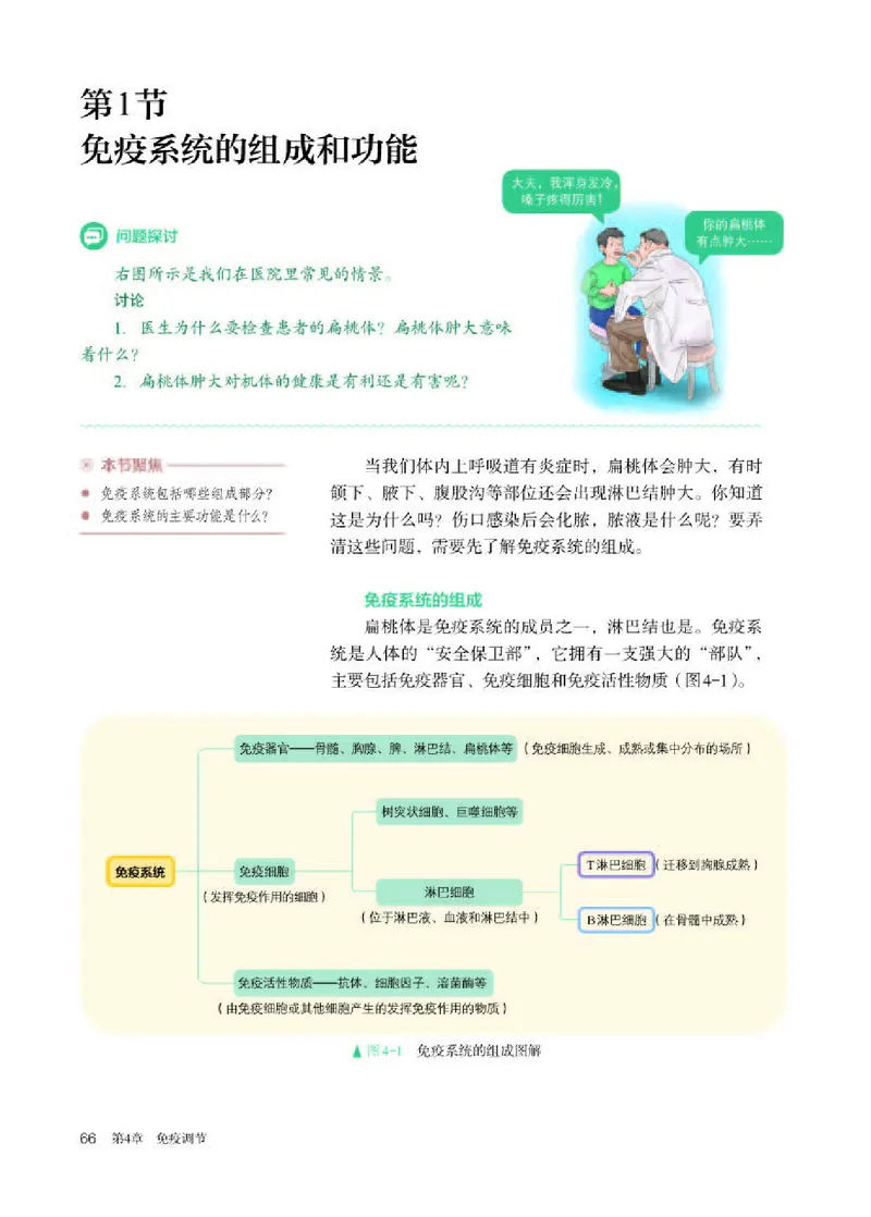 人教版生物选修1高清教材_4-教培资料-26年最新资料-同步更新_初中高中教资_03科三专项（进去保存报考的学科即可）_02科三专项（笔记真题思维导图教学设计版本二）