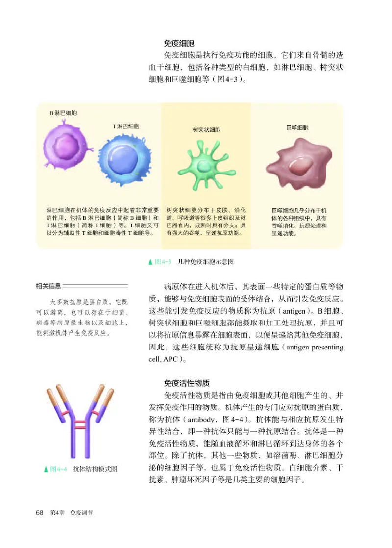 人教版生物选修1高清教材_4-教培资料-26年最新资料-同步更新_初中高中教资_03科三专项（进去保存报考的学科即可）_02科三专项（笔记真题思维导图教学设计版本二）