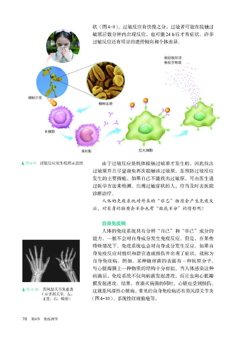 人教版生物选修1高清教材_4-教培资料-26年最新资料-同步更新_初中高中教资_03科三专项（进去保存报考的学科即可）_02科三专项（笔记真题思维导图教学设计版本二）