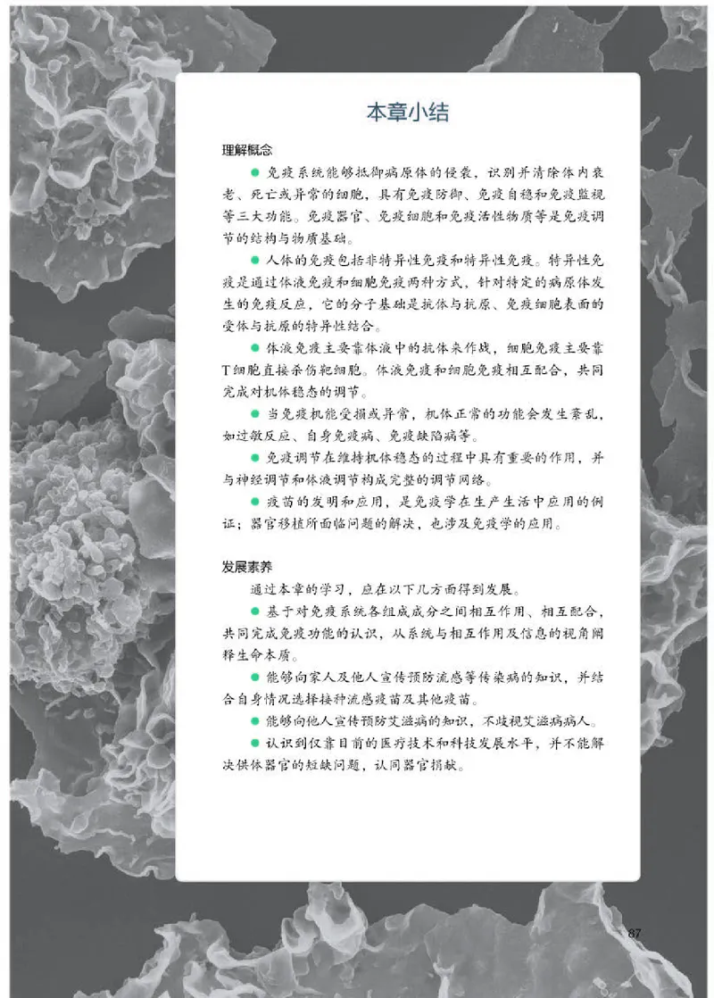 人教版生物选修1高清教材_4-教培资料-26年最新资料-同步更新_初中高中教资_03科三专项（进去保存报考的学科即可）_02科三专项（笔记真题思维导图教学设计版本二）