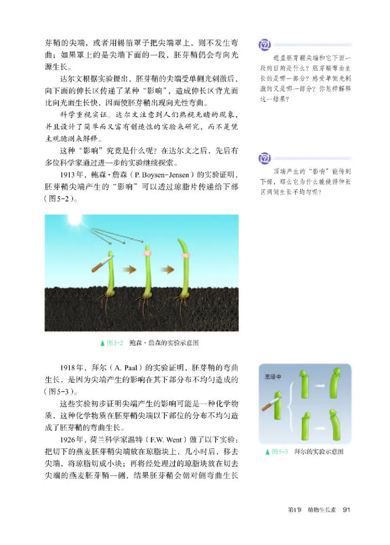 人教版生物选修1高清教材_4-教培资料-26年最新资料-同步更新_初中高中教资_03科三专项（进去保存报考的学科即可）_02科三专项（笔记真题思维导图教学设计版本二）