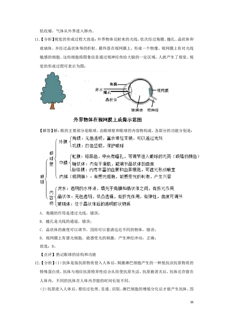 2019年山东省东营市中考生物试题(word版含答案)_中考真题_8.生物中考真题2015-2024年_地区卷_山东省_东营中考生物09-22