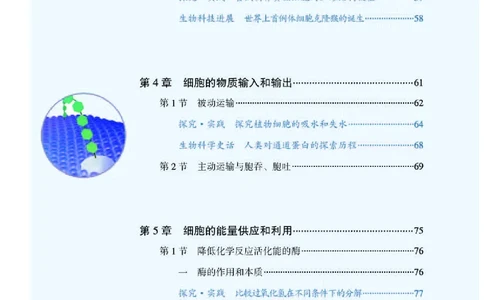 人教版生物必修1高清教材_4-教培资料-26年最新资料-同步更新_初中高中教资_03科三专项（进去保存报考的学科即可）_02科三专项（笔记真题思维导图教学设计版本二）