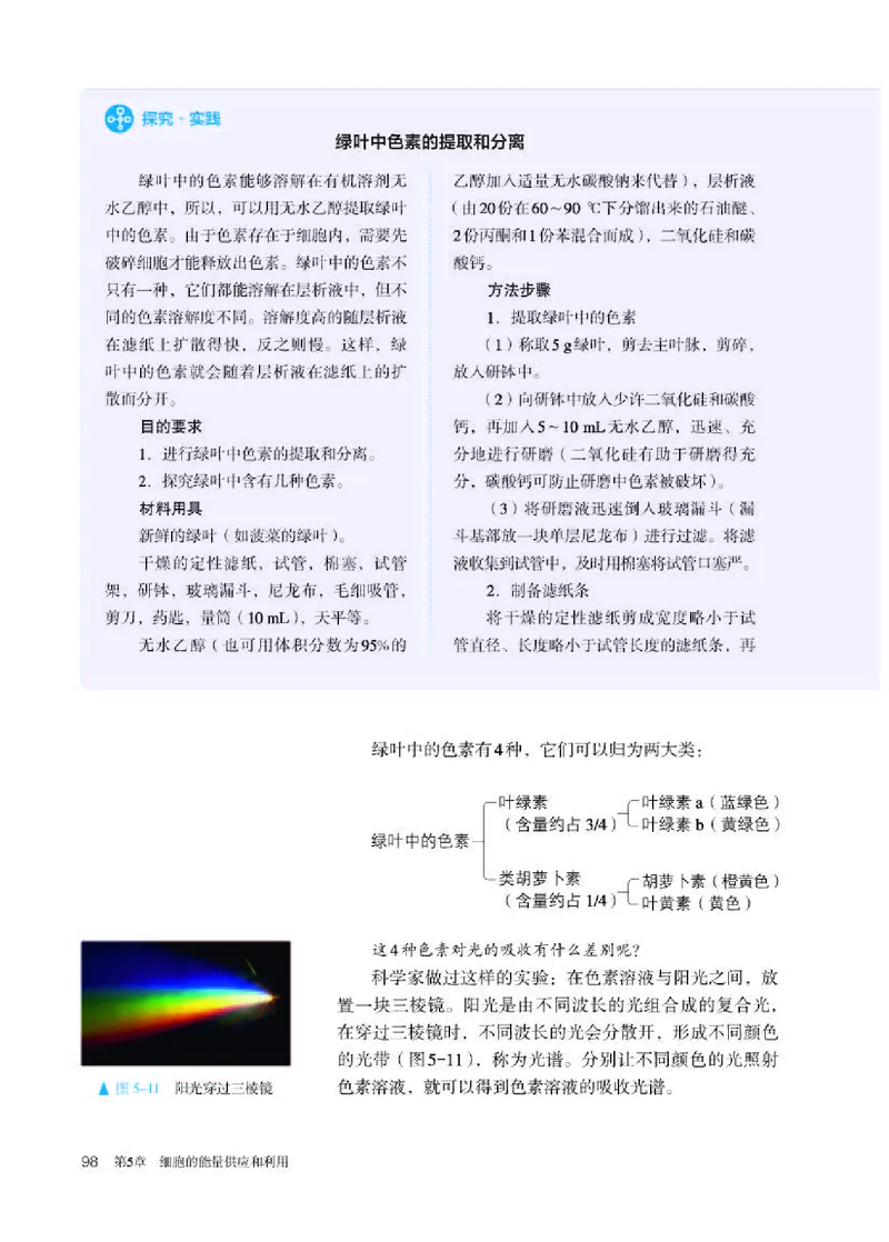 人教版生物必修1高清教材_4-教培资料-26年最新资料-同步更新_初中高中教资_03科三专项（进去保存报考的学科即可）_02科三专项（笔记真题思维导图教学设计版本二）