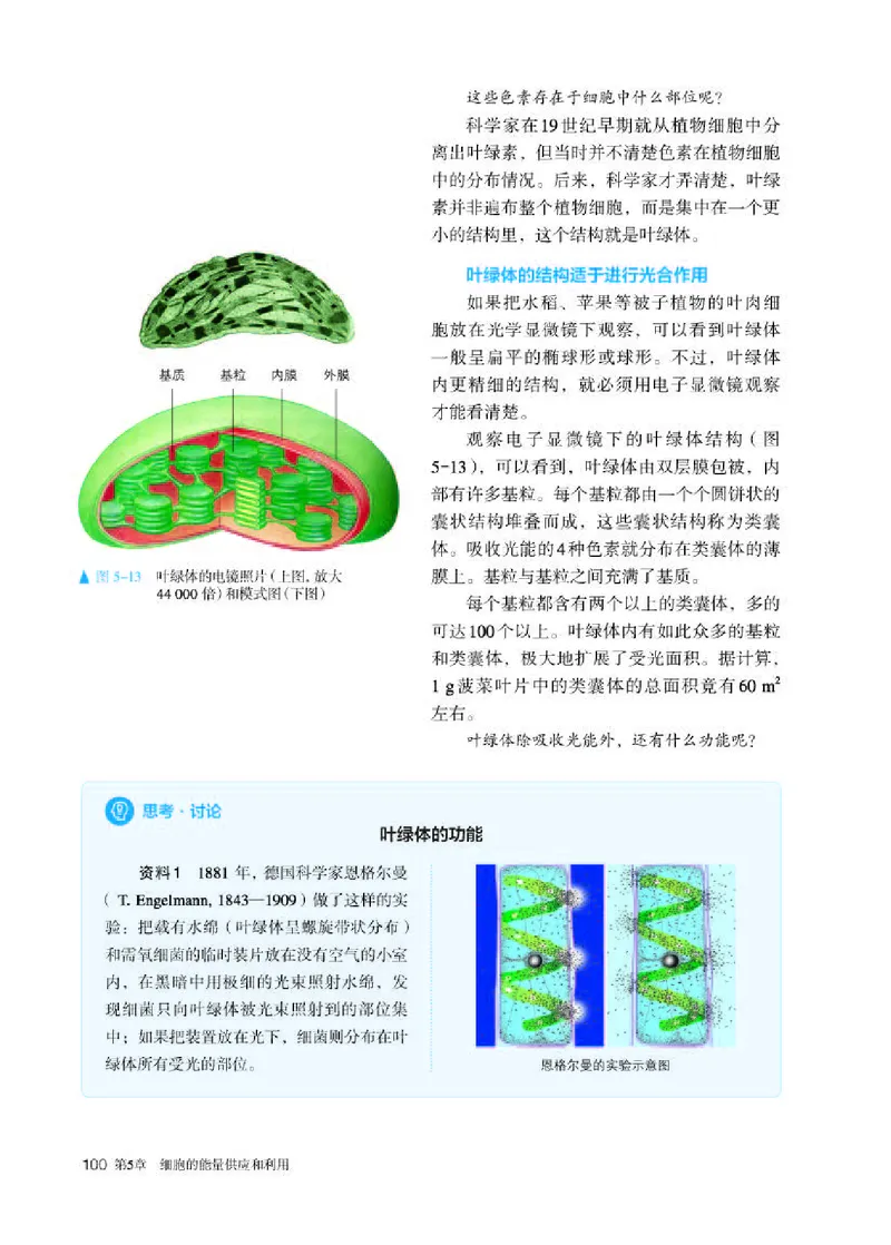 人教版生物必修1高清教材_4-教培资料-26年最新资料-同步更新_初中高中教资_03科三专项（进去保存报考的学科即可）_02科三专项（笔记真题思维导图教学设计版本二）