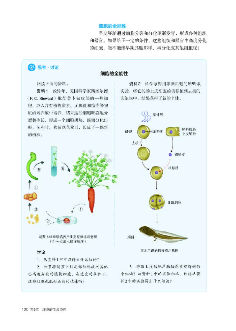 人教版生物必修1高清教材_4-教培资料-26年最新资料-同步更新_初中高中教资_03科三专项（进去保存报考的学科即可）_02科三专项（笔记真题思维导图教学设计版本二）