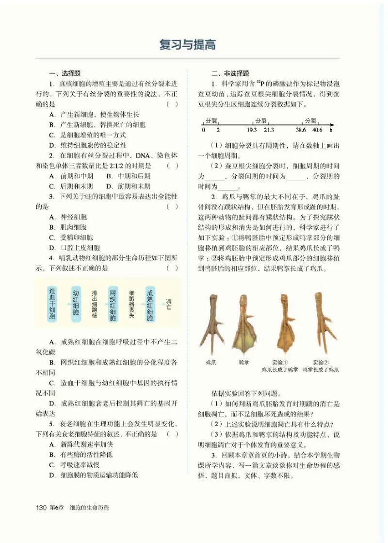人教版生物必修1高清教材_4-教培资料-26年最新资料-同步更新_初中高中教资_03科三专项（进去保存报考的学科即可）_02科三专项（笔记真题思维导图教学设计版本二）