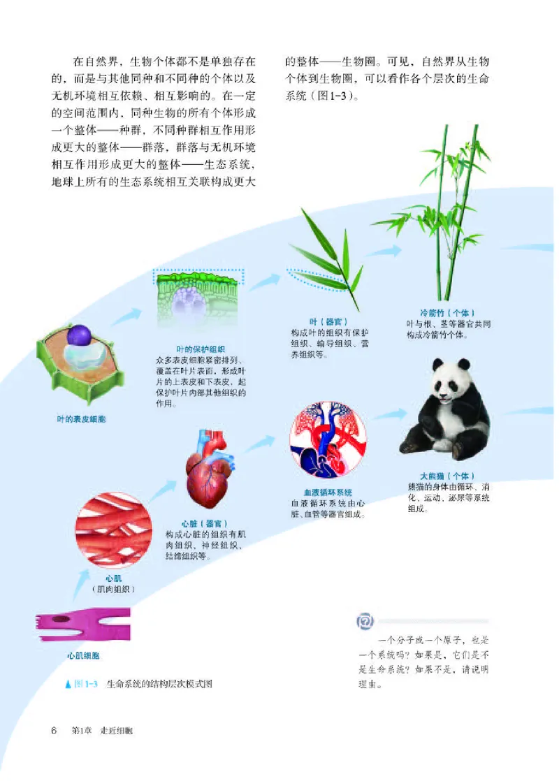 人教版生物必修1高清教材_4-教培资料-26年最新资料-同步更新_初中高中教资_03科三专项（进去保存报考的学科即可）_02科三专项（笔记真题思维导图教学设计版本二）