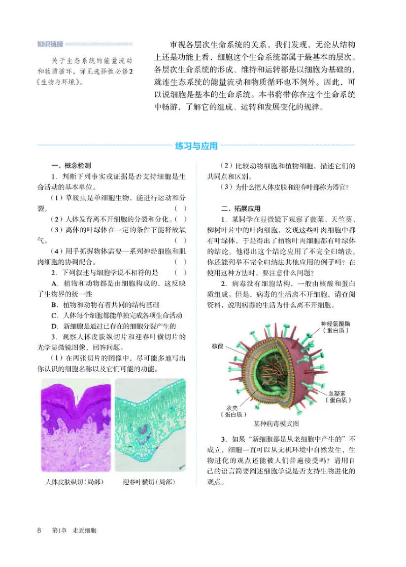 人教版生物必修1高清教材_4-教培资料-26年最新资料-同步更新_初中高中教资_03科三专项（进去保存报考的学科即可）_02科三专项（笔记真题思维导图教学设计版本二）