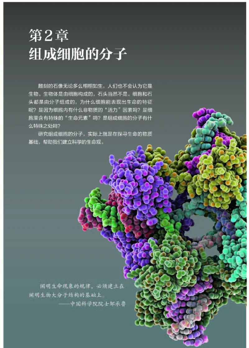人教版生物必修1高清教材_4-教培资料-26年最新资料-同步更新_初中高中教资_03科三专项（进去保存报考的学科即可）_02科三专项（笔记真题思维导图教学设计版本二）