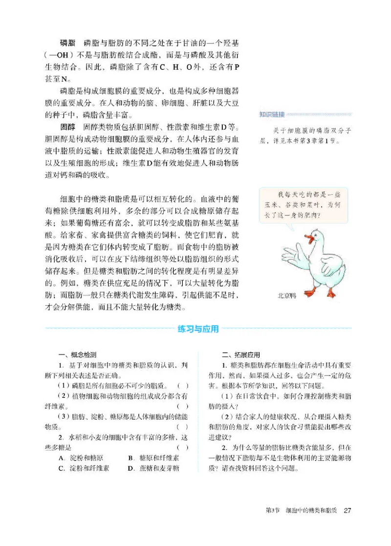 人教版生物必修1高清教材_4-教培资料-26年最新资料-同步更新_初中高中教资_03科三专项（进去保存报考的学科即可）_02科三专项（笔记真题思维导图教学设计版本二）