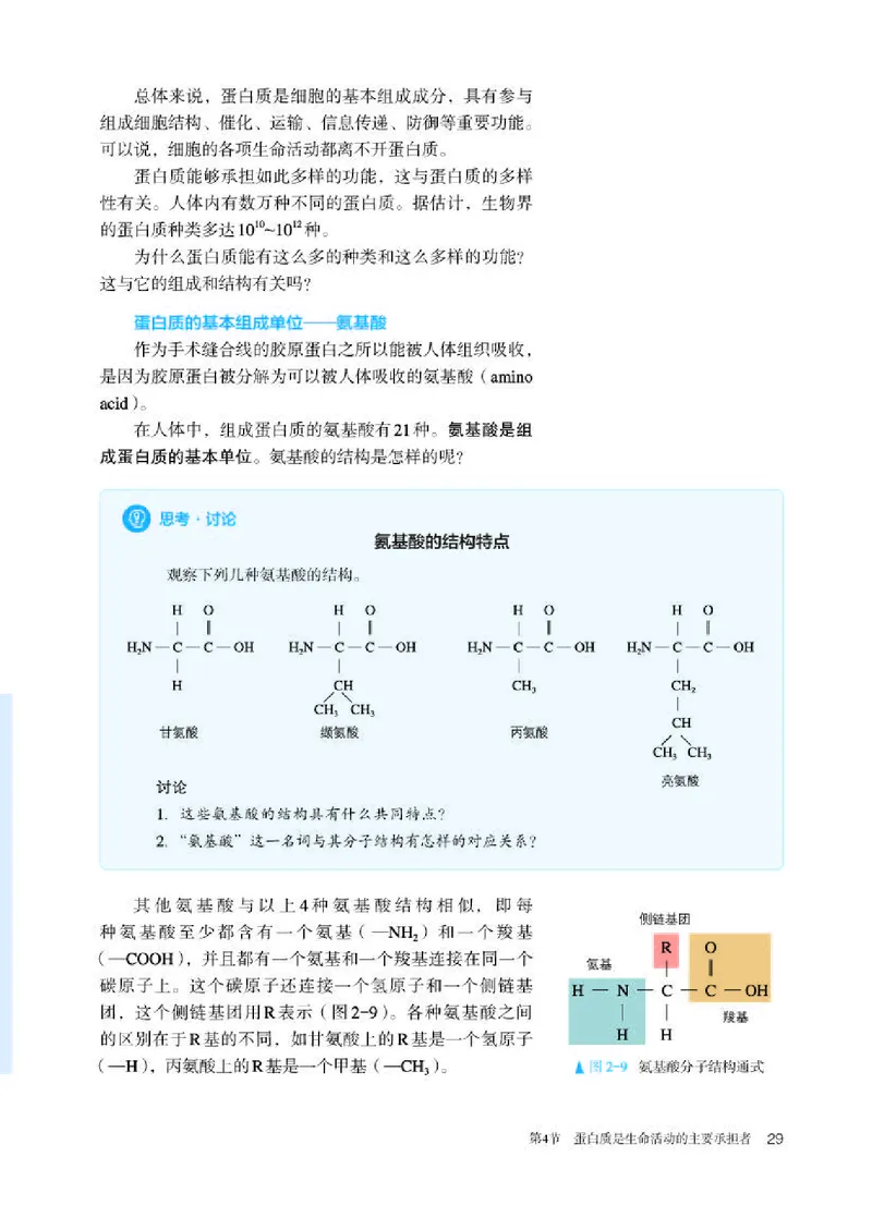 人教版生物必修1高清教材_4-教培资料-26年最新资料-同步更新_初中高中教资_03科三专项（进去保存报考的学科即可）_02科三专项（笔记真题思维导图教学设计版本二）