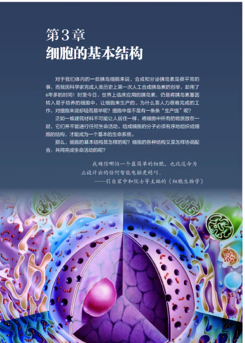 人教版生物必修1高清教材_4-教培资料-26年最新资料-同步更新_初中高中教资_03科三专项（进去保存报考的学科即可）_02科三专项（笔记真题思维导图教学设计版本二）