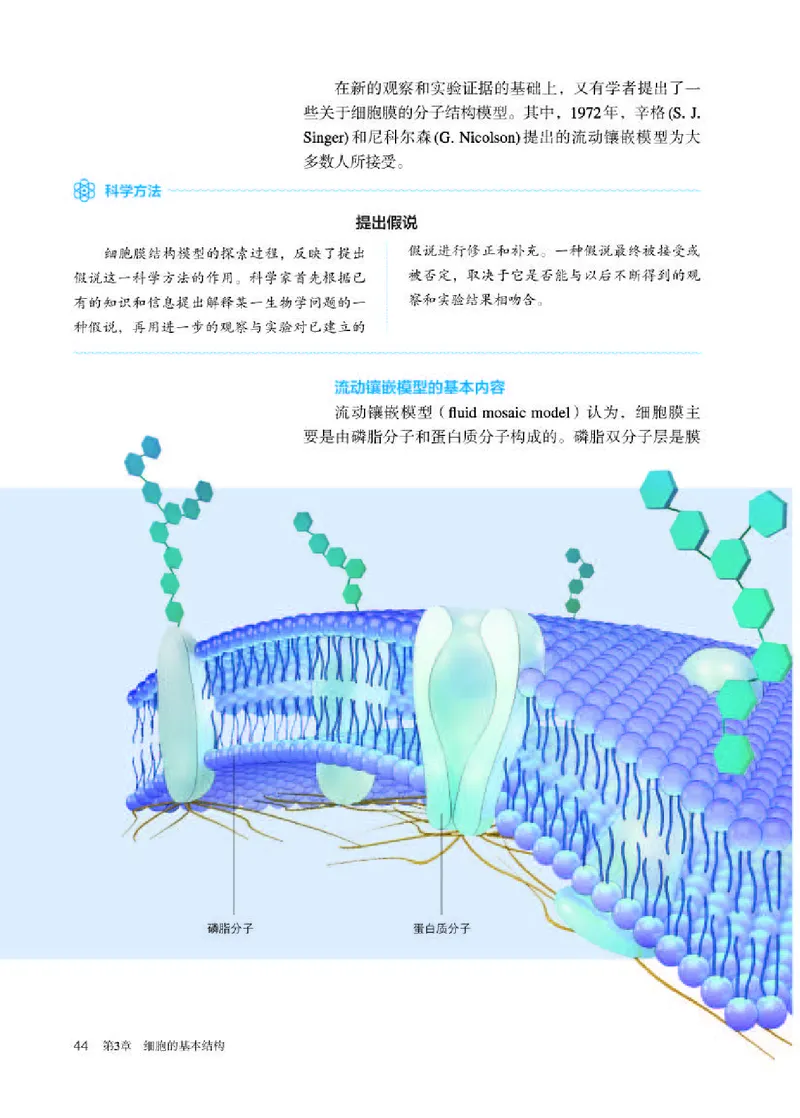 人教版生物必修1高清教材_4-教培资料-26年最新资料-同步更新_初中高中教资_03科三专项（进去保存报考的学科即可）_02科三专项（笔记真题思维导图教学设计版本二）