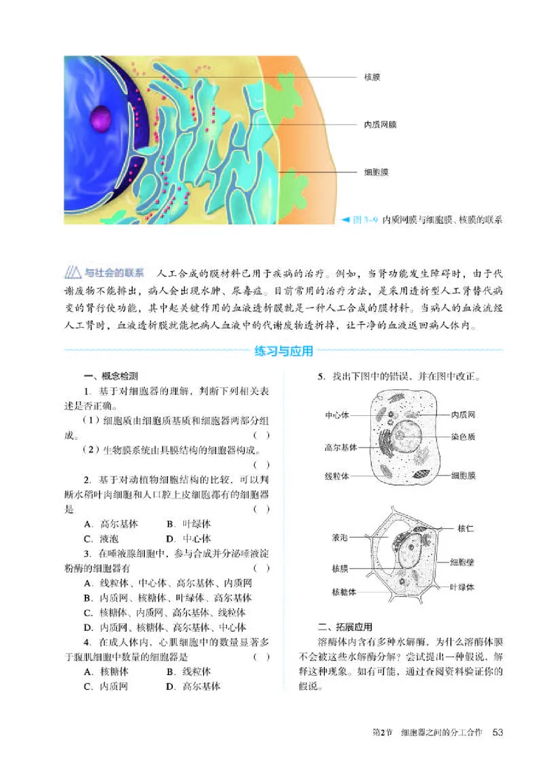 人教版生物必修1高清教材_4-教培资料-26年最新资料-同步更新_初中高中教资_03科三专项（进去保存报考的学科即可）_02科三专项（笔记真题思维导图教学设计版本二）