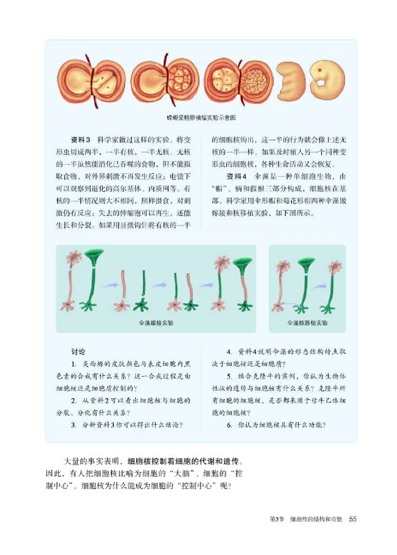 人教版生物必修1高清教材_4-教培资料-26年最新资料-同步更新_初中高中教资_03科三专项（进去保存报考的学科即可）_02科三专项（笔记真题思维导图教学设计版本二）
