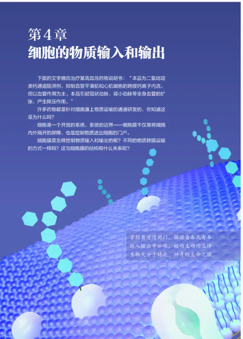 人教版生物必修1高清教材_4-教培资料-26年最新资料-同步更新_初中高中教资_03科三专项（进去保存报考的学科即可）_02科三专项（笔记真题思维导图教学设计版本二）