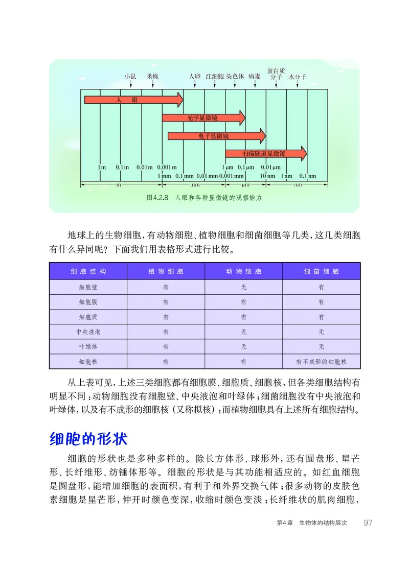 华师大7年级科学上册高清教材_4-教培资料-26年最新资料-同步更新_初中高中教资_03科三专项（进去保存报考的学科即可）_02科三专项（笔记真题思维导图教学设计版本二）