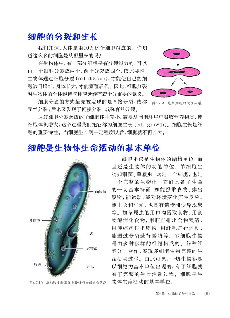 华师大7年级科学上册高清教材_4-教培资料-26年最新资料-同步更新_初中高中教资_03科三专项（进去保存报考的学科即可）_02科三专项（笔记真题思维导图教学设计版本二）